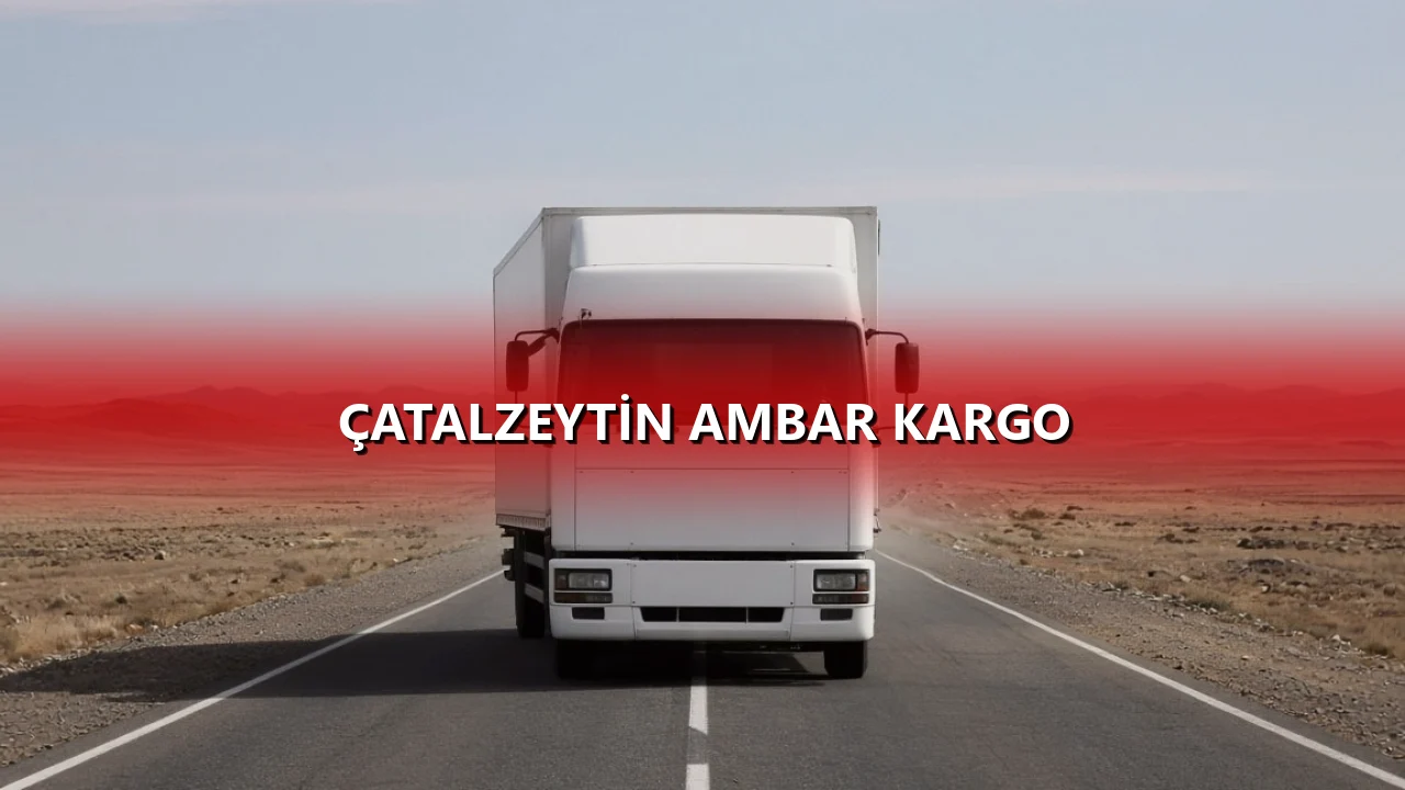 Çatalzeytin Ambar Kargo