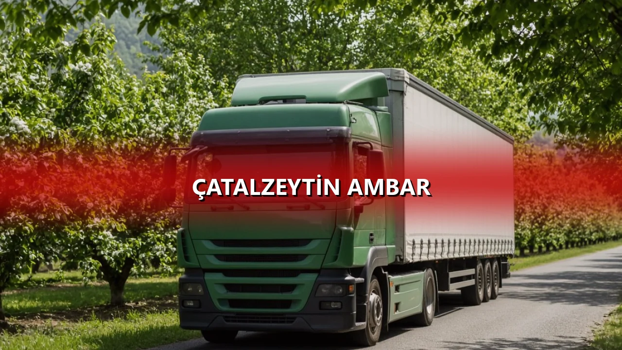 Çatalzeytin Ambar